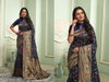 Bindia By Aab Designer Soft Lichi Silk Sarees Wholesale Market In Surat
